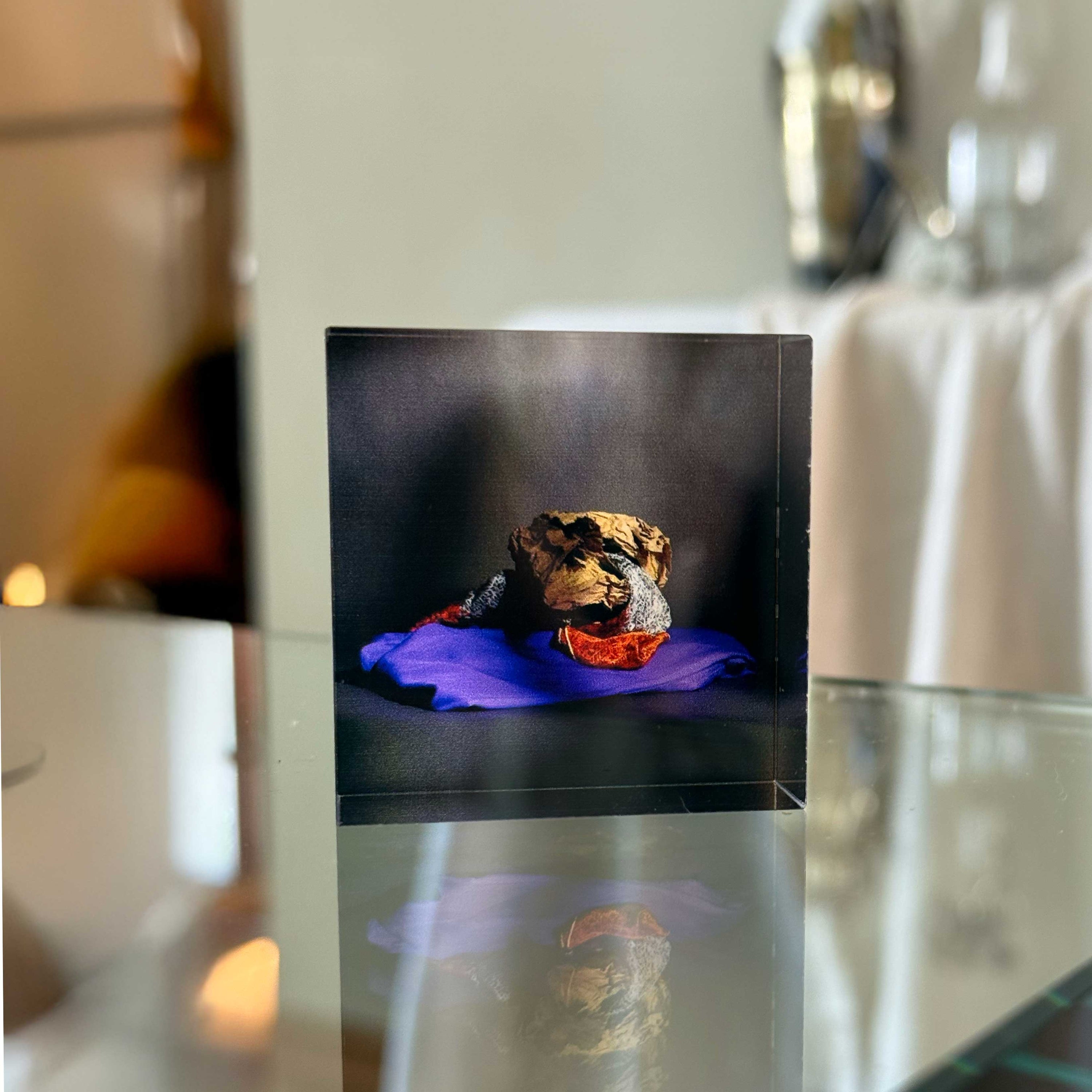 017 by Emily Jane Kuntz