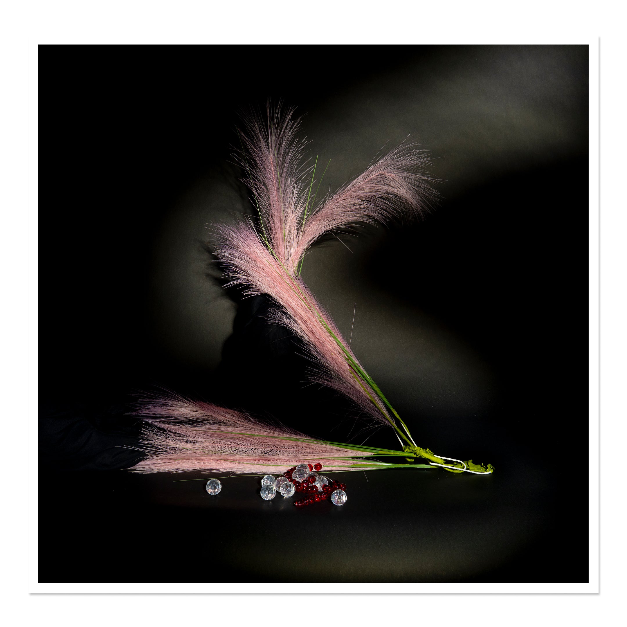 007 by Emily Jane Kuntz